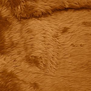 Fun Fur