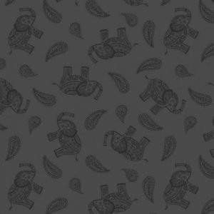 Paisley Elephants