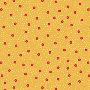 Daisy Dot
