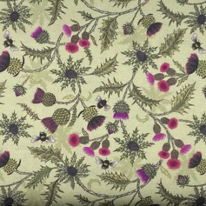 Bee Thistle