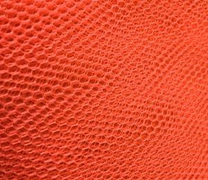 Dress Net