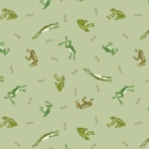 Frogs & Toads